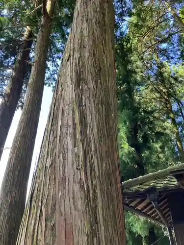 恵那神社(岐阜県)