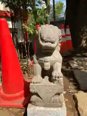 田無神社の狛犬