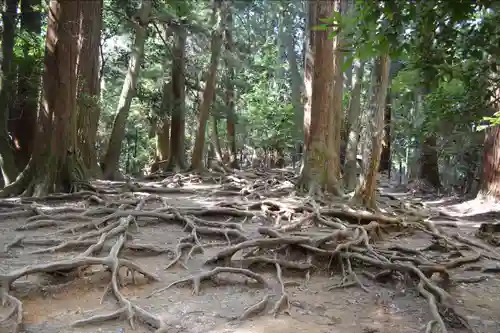 鞍馬寺(京都府)