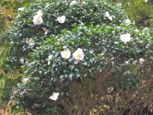 神武寺(神奈川県)