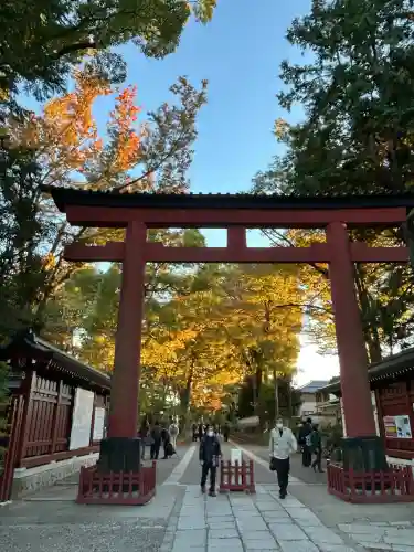 武蔵一宮氷川神社(埼玉県)