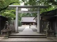 乃木神社の鳥居