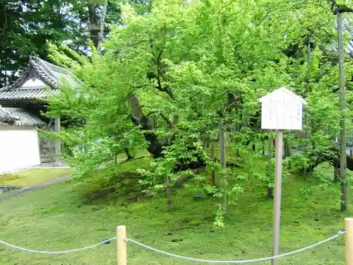 瑞巌寺(宮城県)