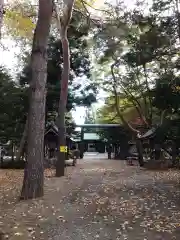 琴似神社(北海道)