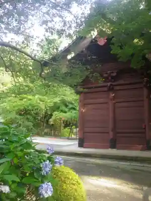 妙本寺のその他建物