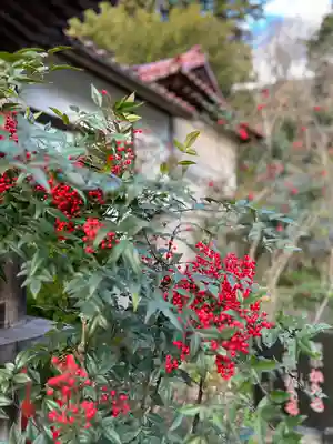 三光寺(栃木県)