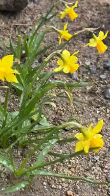 大鏑神社(福島県)