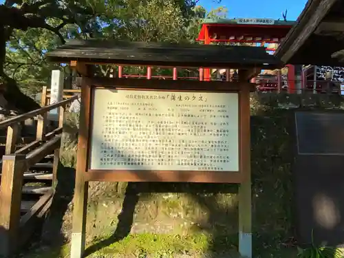 蒲生八幡神社の歴史