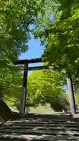 北海道神宮の鳥居