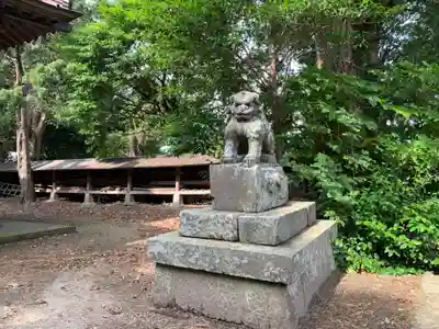 八坂神社の狛犬