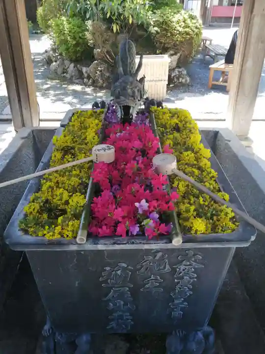 柳谷観音 楊谷寺(京都府)