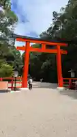 賀茂御祖神社(下鴨神社)(京都府)