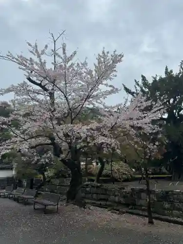円覚寺の{uncategorized: "未分類", other: "その他", undefined: "問題あり", building: "その他建物", grave: "お墓", sacred_gate: "鳥居", guardian: "狛犬", statue: "像", buddha: "仏像", history: "歴史", nature: "自然", garden: "庭園", animal: "動物", pagoda: "塔", temizu: "手水舎", mountain_gate: "山門・神門", sanctuary: "本殿・本堂", subordinate: "末社・摂社", art: "芸術", scenery: "景色", jizo: "地蔵", ema: "絵馬", goshuin: "御朱印", omikuji: "おみくじ", items: "授与品その他", amulet: "お守り", goshuincho: "御朱印帳", eats: "食事", festival: "お祭り", votive_dance: "神楽", shichigosan: "七五三参", wedding: "結婚式", experience: "体験その他", initially: "初詣", around: "周辺", anti_infection: "感染症対策"}