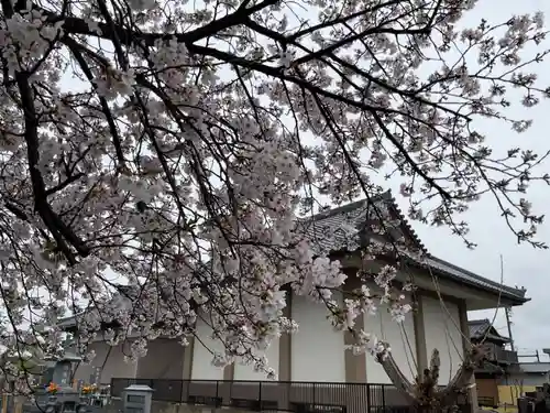 無量光院(愛知県)