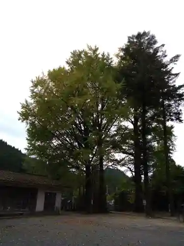 甲佐神社(熊本県)