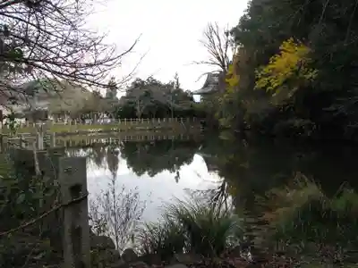 大嶋神社奥津嶋神社(滋賀県)