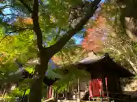 普門寺(切り絵御朱印発祥の寺)(愛知県)