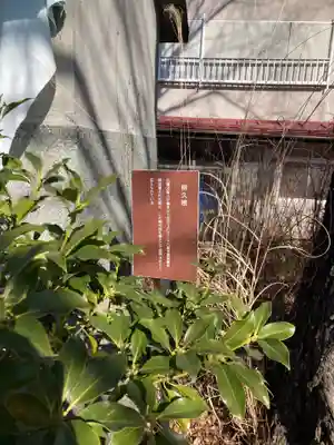 妙法寺(山梨県)