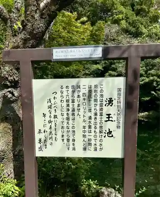 富士山本宮浅間大社(静岡県)
