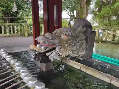 鹿児島神宮(鹿児島県)