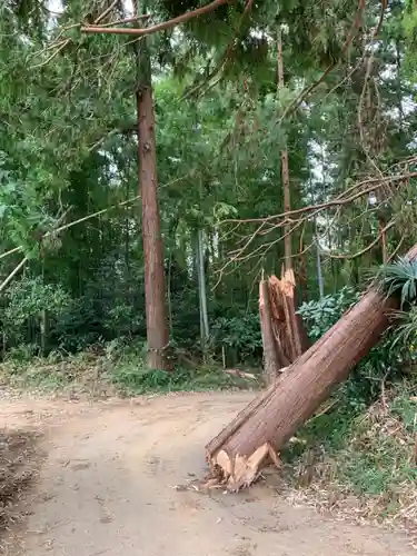 熊野神社の周辺