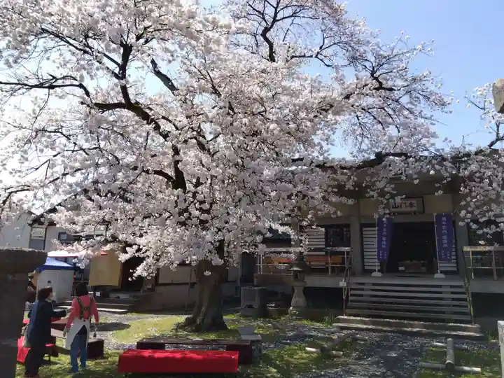 妙経寺(福井県)