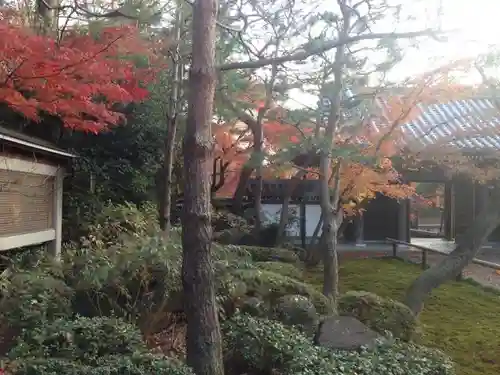 観泉寺の庭園