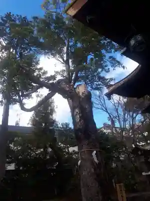 大将軍八神社(京都府)