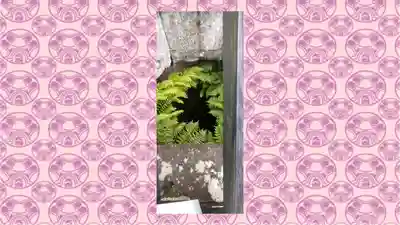 眞田神社(長野県)