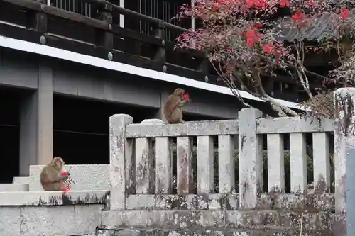 久遠寺(山梨県)