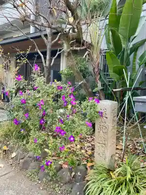 善光寺(東京都)