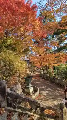 柳谷観音　楊谷寺(京都府)