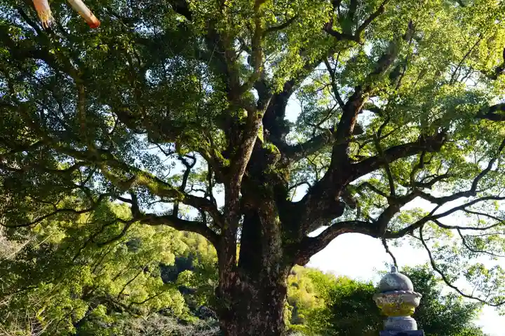 荒穂神社の自然