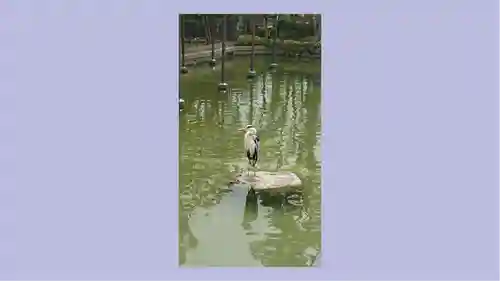 川崎大師（平間寺）の御朱印