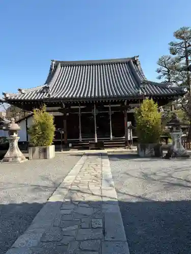 廬山寺（廬山天台講寺）の{uncategorized: "未分類", other: "その他", undefined: "問題あり", building: "その他建物", grave: "お墓", sacred_gate: "鳥居", guardian: "狛犬", statue: "像", buddha: "仏像", history: "歴史", nature: "自然", garden: "庭園", animal: "動物", pagoda: "塔", temizu: "手水舎", mountain_gate: "山門・神門", sanctuary: "本殿・本堂", subordinate: "末社・摂社", art: "芸術", scenery: "景色", jizo: "地蔵", ema: "絵馬", goshuin: "御朱印", omikuji: "おみくじ", items: "授与品その他", amulet: "お守り", goshuincho: "御朱印帳", eats: "食事", festival: "お祭り", votive_dance: "神楽", shichigosan: "七五三参", wedding: "結婚式", experience: "体験その他", initially: "初詣", around: "周辺", anti_infection: "感染症対策"}