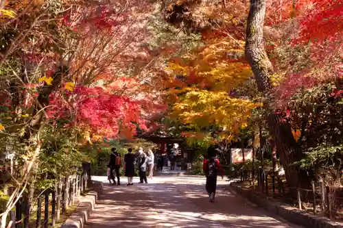 宇治上神社(京都府)