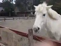 丹生川上神社(下社)(奈良県)