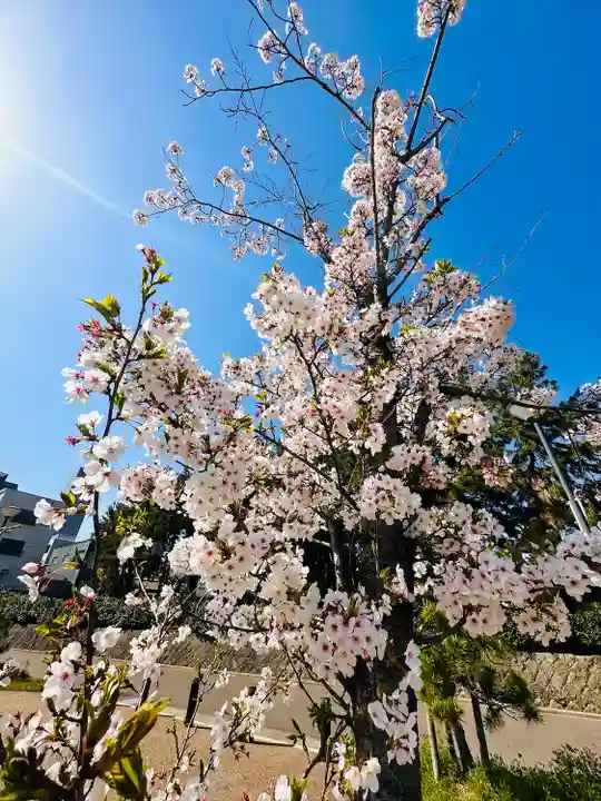 福井神社(福井県)