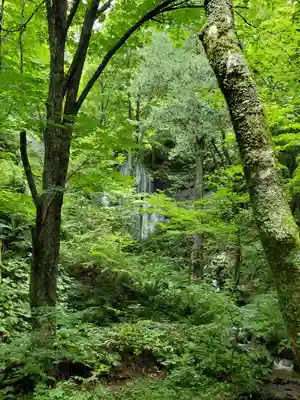 達沢不動滝の自然