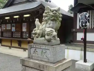 公所浅間神社の狛犬