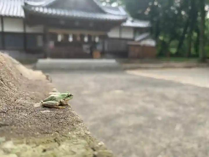 川田八幡神社の動物