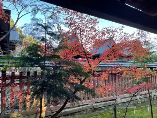 龍田大社の自然