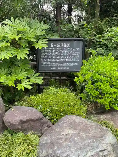 亀ケ池八幡宮の歴史