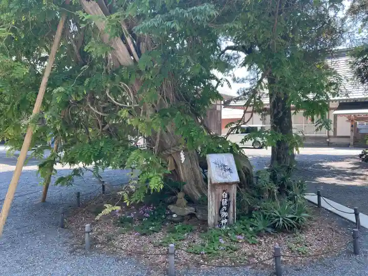 伊古奈比咩命神社の{uncategorized: "未分類", other: "その他", undefined: "問題あり", building: "その他建物", grave: "お墓", sacred_gate: "鳥居", guardian: "狛犬", statue: "像", buddha: "仏像", history: "歴史", nature: "自然", garden: "庭園", animal: "動物", pagoda: "塔", temizu: "手水舎", mountain_gate: "山門・神門", sanctuary: "本殿・本堂", subordinate: "末社・摂社", art: "芸術", scenery: "景色", jizo: "地蔵", ema: "絵馬", goshuin: "御朱印", omikuji: "おみくじ", items: "授与品その他", amulet: "お守り", goshuincho: "御朱印帳", eats: "食事", festival: "お祭り", votive_dance: "神楽", shichigosan: "七五三参", wedding: "結婚式", experience: "体験その他", initially: "初詣", around: "周辺", anti_infection: "感染症対策"}