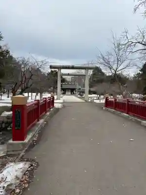 札幌護國神社の鳥居