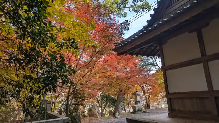 岩屋寺(京都府)