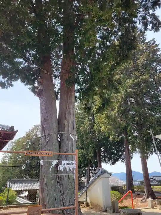 西脇八幡神社(兵庫県)