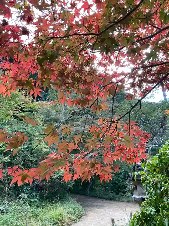 浄瑠璃寺(京都府)