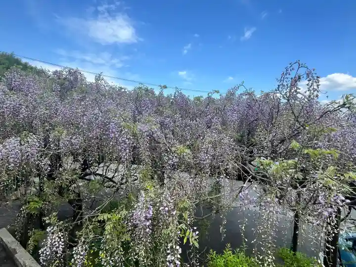 子安地蔵寺の{uncategorized: "未分類", other: "その他", undefined: "問題あり", building: "その他建物", grave: "お墓", sacred_gate: "鳥居", guardian: "狛犬", statue: "像", buddha: "仏像", history: "歴史", nature: "自然", garden: "庭園", animal: "動物", pagoda: "塔", temizu: "手水舎", mountain_gate: "山門・神門", sanctuary: "本殿・本堂", subordinate: "末社・摂社", art: "芸術", scenery: "景色", jizo: "地蔵", ema: "絵馬", goshuin: "御朱印", omikuji: "おみくじ", items: "授与品その他", amulet: "お守り", goshuincho: "御朱印帳", eats: "食事", festival: "お祭り", votive_dance: "神楽", shichigosan: "七五三参", wedding: "結婚式", experience: "体験その他", initially: "初詣", around: "周辺", anti_infection: "感染症対策"}