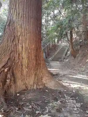 弘仁寺(奈良県)